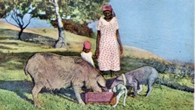 Woman Child and Animals Antigua Traditions